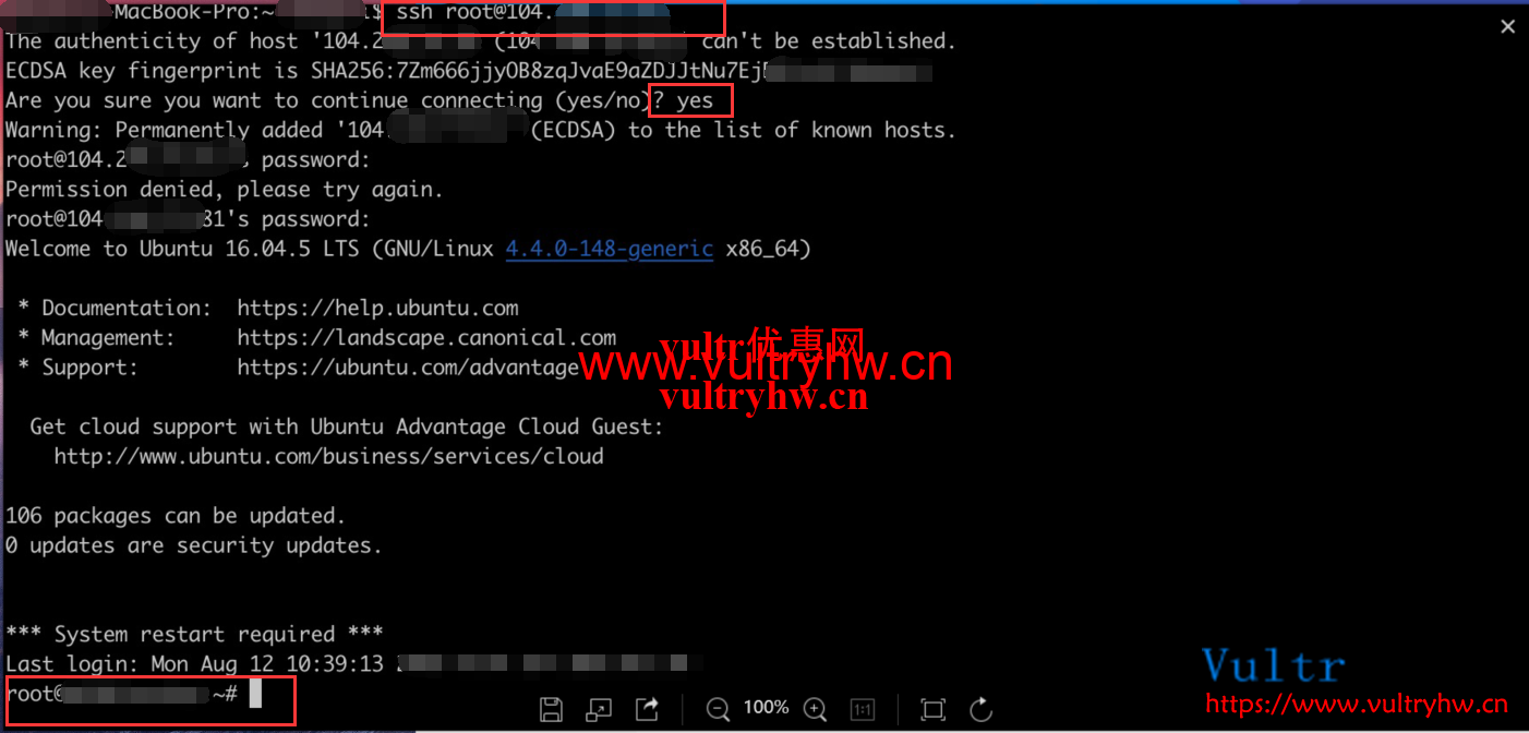 Mac连接Vultr教程