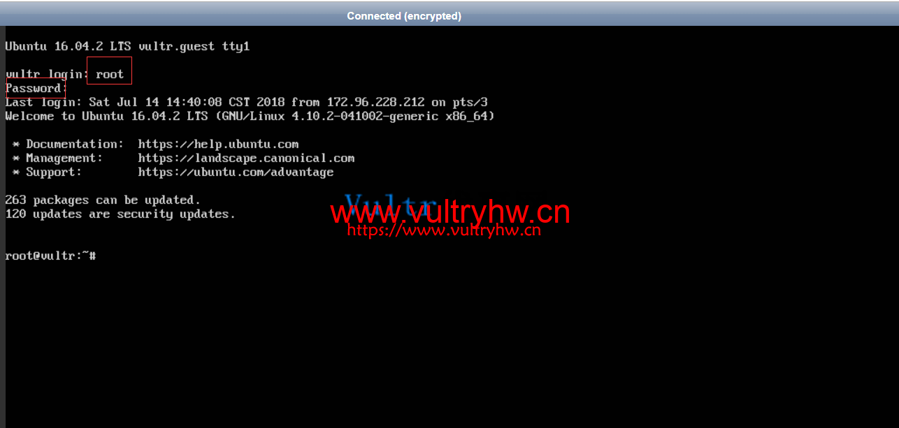 Vultr VNC