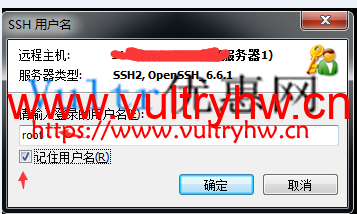 Windows使用Vultr